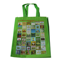 汉中LB11覆膜无纺布广告袋